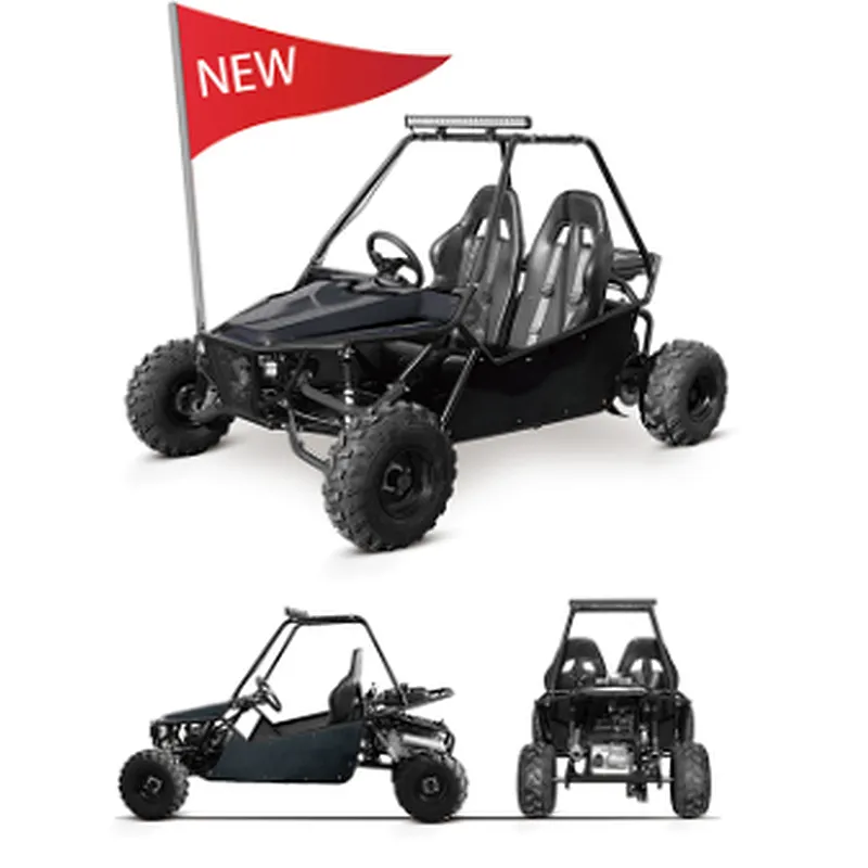 adult  off road go kart beach buggy 200cc/150cc