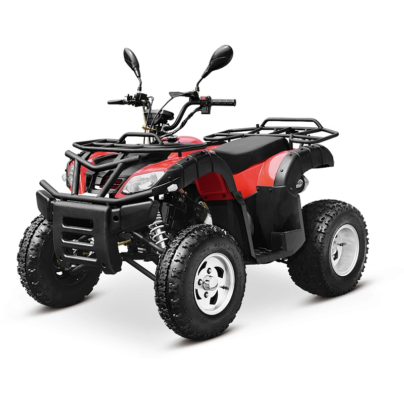 200cc ATV adult quad bike balance engine 4-stroke MDL 200AUG