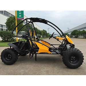 CE 150CC go karts 200CC Dune Buggy