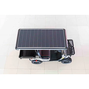 COC Electric Golf Cart, 150ah EEC Electric Golf Cart