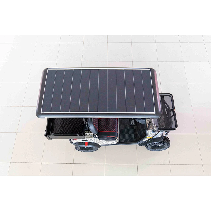 COC Electric Golf Cart, 150ah EEC Electric Golf Cart
