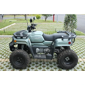 300cc Atv Quad Adult Popular Diesel Power SOHC Engine Automatic single cylinder 4 stroke water cooling