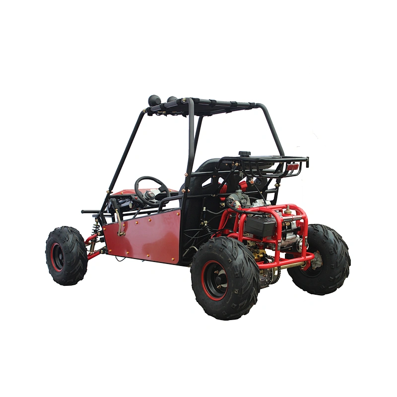 Factory direct sale cool adult professional go kart 125cc