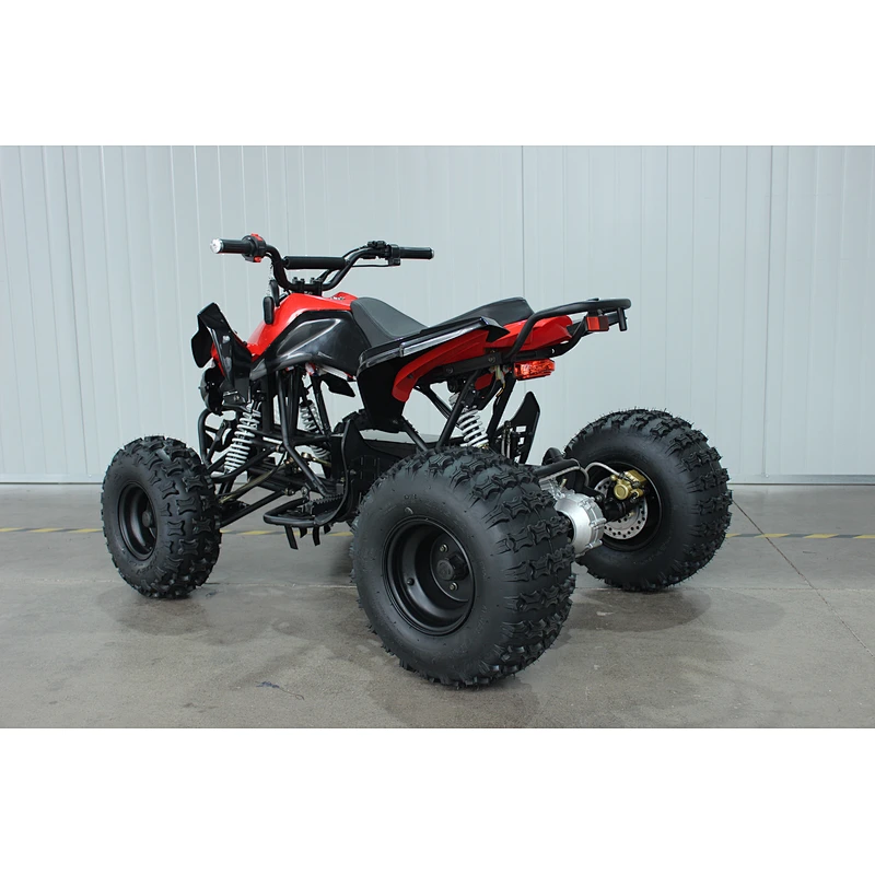 Kandi Electric ATV and Quad for kids