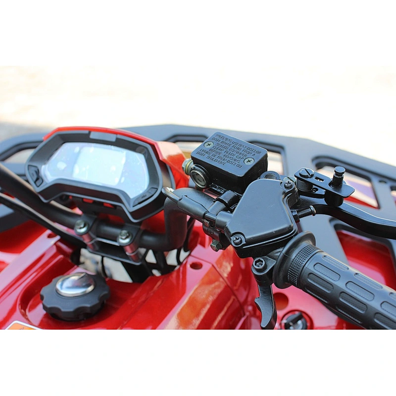 300cc UTILITY ATV QUAD BIKE 300