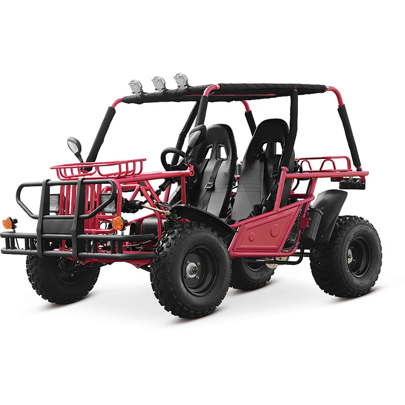200CC CVT Go Kart Automatic Dune Buggy Racing Go Kart