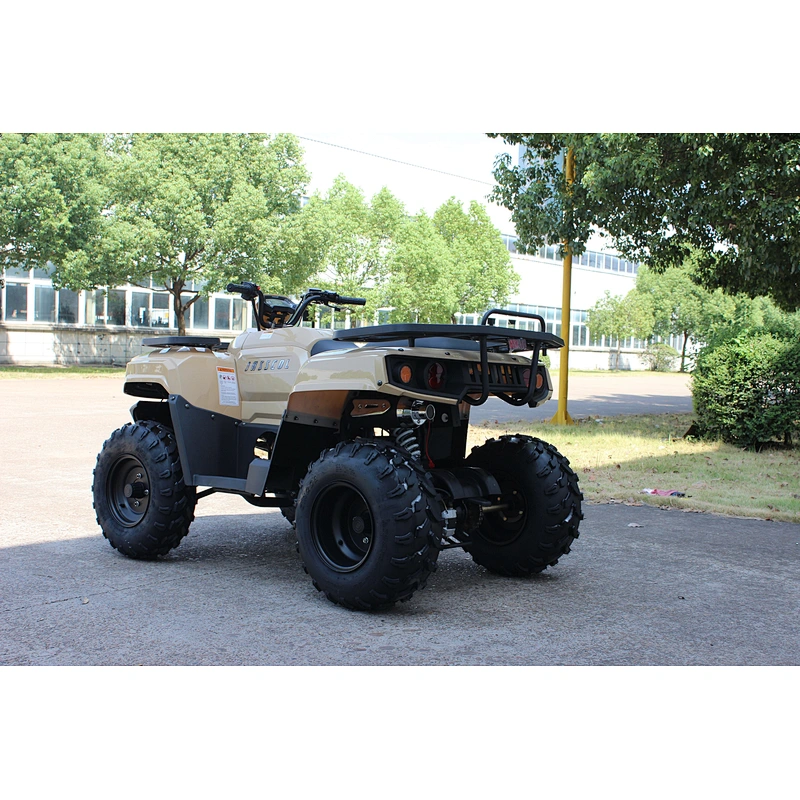 ATV QUAD 200CC 150CC Engine ATV