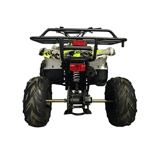 125CC ATV 4-stroke automatic with reverse quad bike MDL 125A32