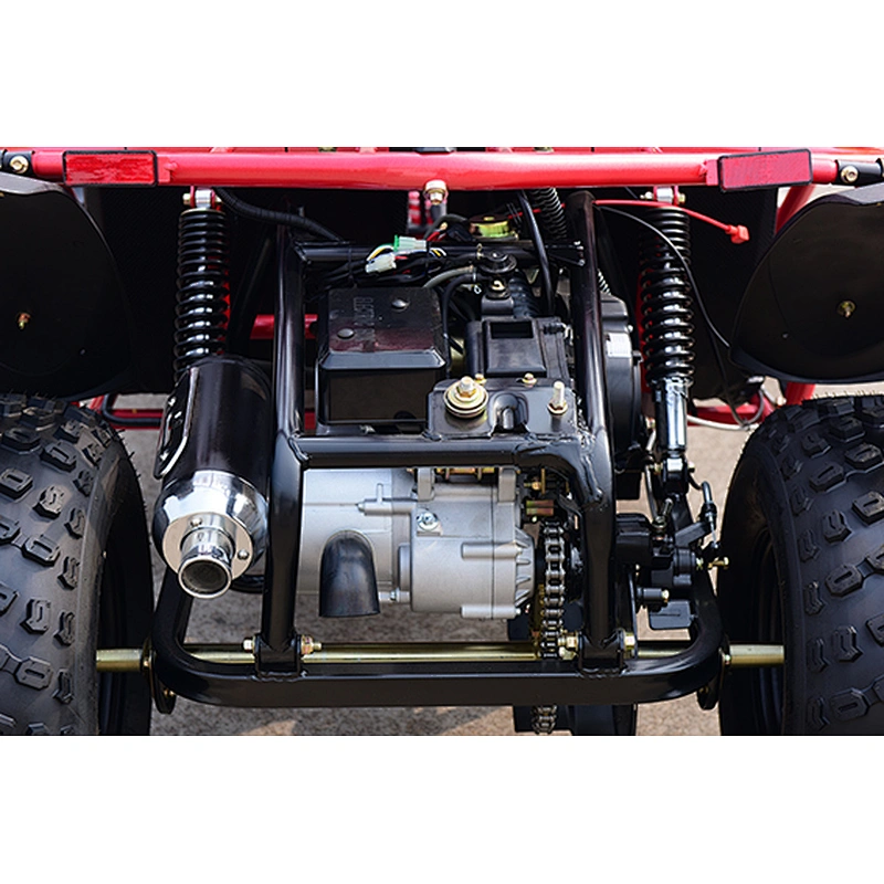 Gasoline 4 Stroke 200cc Racing Dune Buggy for Sale, Off Road Go Kart for Adults