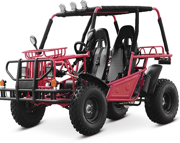 Hot sale 200CC private safety super racing beach 2 seater go kart for adult