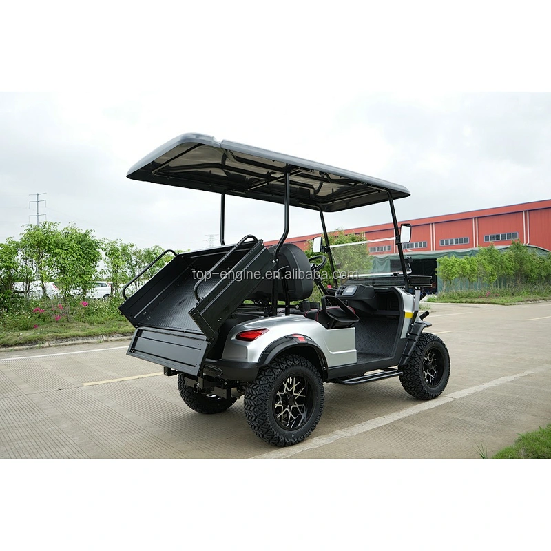 5000W high power motor hunt car Convertible sightseeing golf cart 2 seat