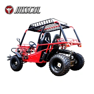Hot selling cool automatic gasoline 150cc professional 2 seater go kart for adults