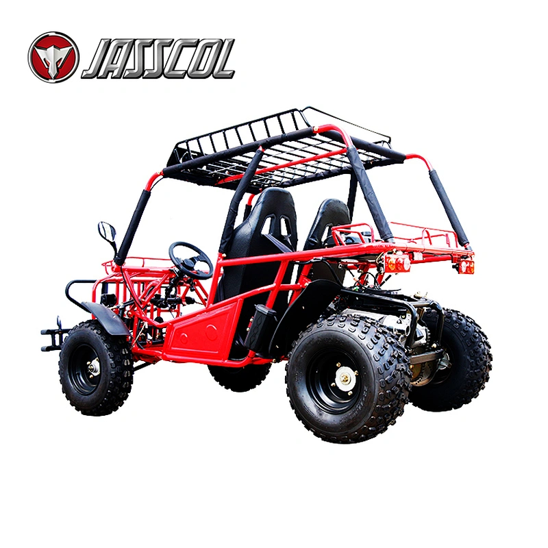 Hot selling cool automatic gasoline 150cc professional 2 seater go kart for adults