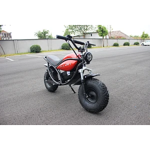 electric mini motorcycle 48V 500W kids motorcycle