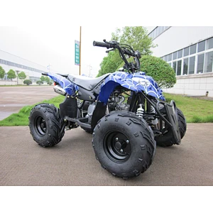 New 125cc cheap kids ATV 4 wheel quad bike sale with CE