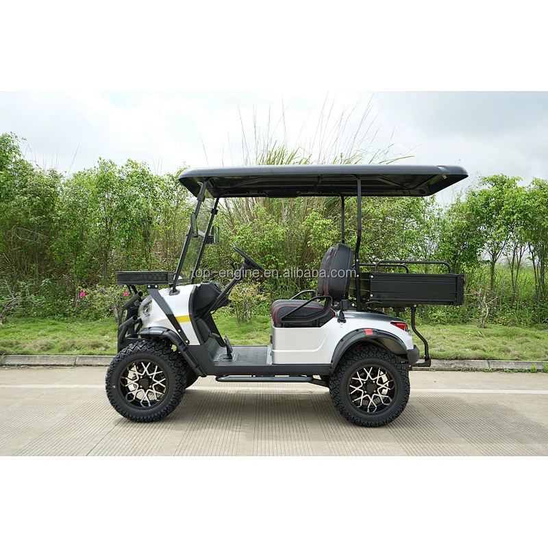 5000W high power motor hunt car Convertible sightseeing golf cart 2 seat