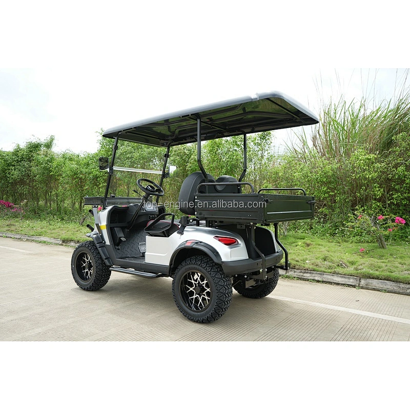 5000W high power motor hunt car Convertible sightseeing golf cart 2 seat