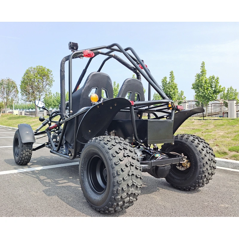 3KW Electric Dune Buggy and Go Kart 4 Wheel Electric power with Lithium Battery