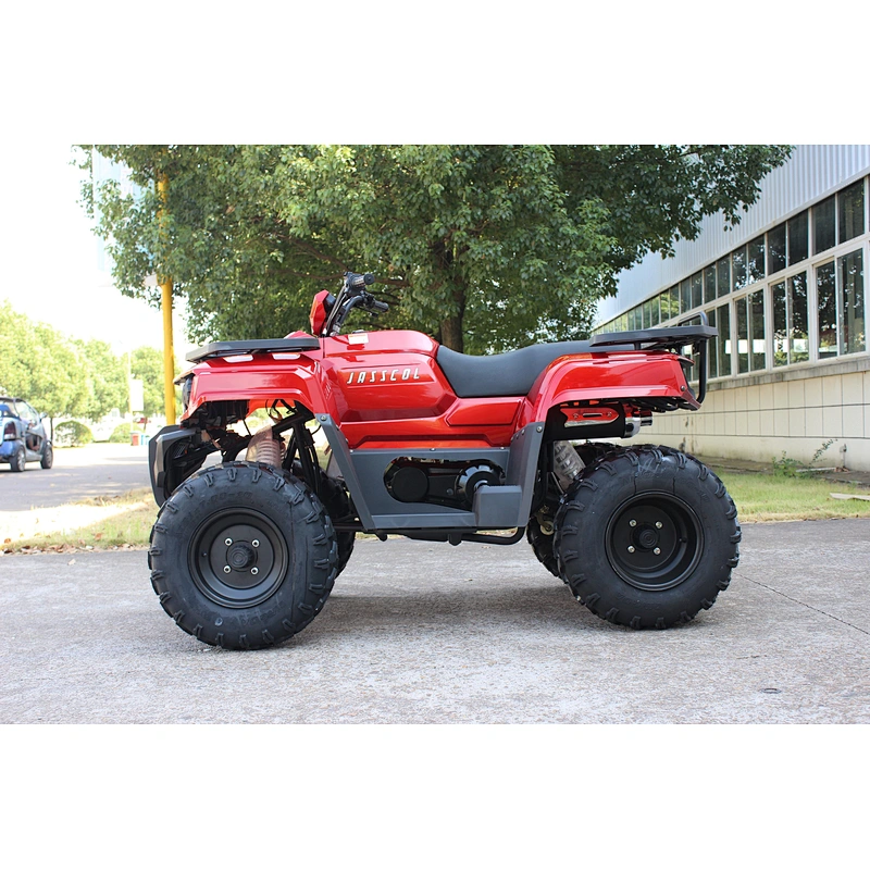 CVT 200cc Quad ATV