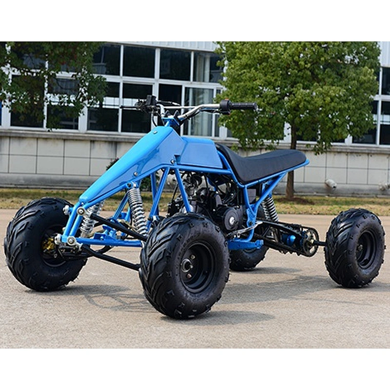 CE 110CC 125CC 150CC Mini quad atvs for Kids