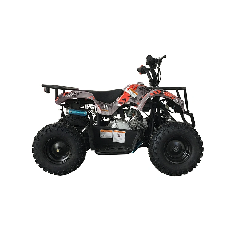 New type top sale unique engine outstanding design 60cc four Stroke 4 wheels quad bike for sale