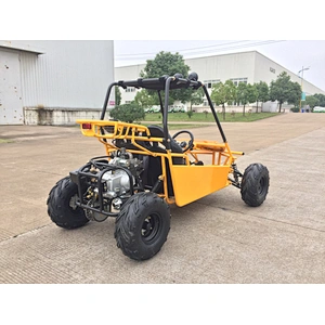 110cc go kart two seat sand buggy for kids children dune buggy teenager go kart