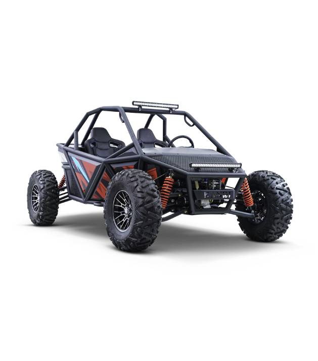 ELECTRIC BUGGY OFF ROAD 2 SEAT GO KART FOR ADULT