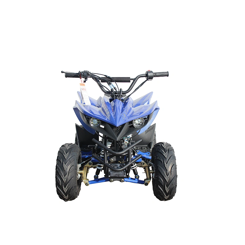 Factory directly wholesale good quality cheap price 110cc kids quad for sale and atv for sale