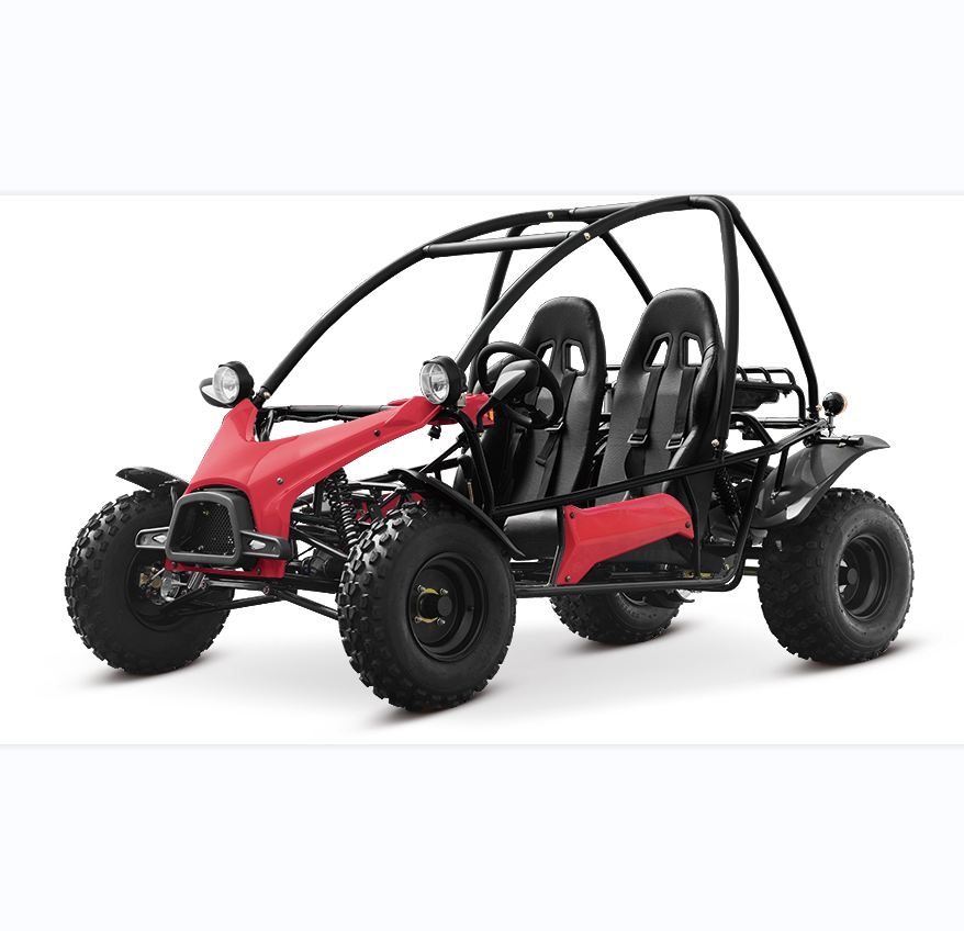 200CC sand buggy off road go kart adult off road dune buggy two seat chain drive