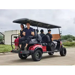 5KW  120AH battery powered golf cart buggy electric
