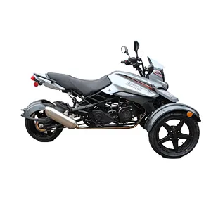 200cc reverse  trcycle 4 stroke trike adult 3 wheel motorcycle