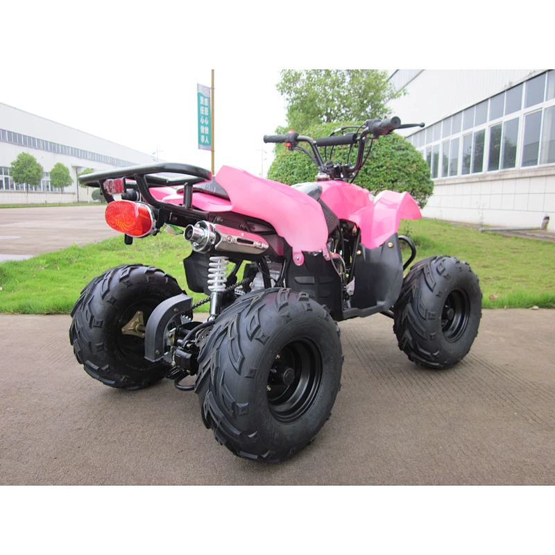 Cheap Mini Kids Quad Bike ATV 125CC Sports Quad Bike