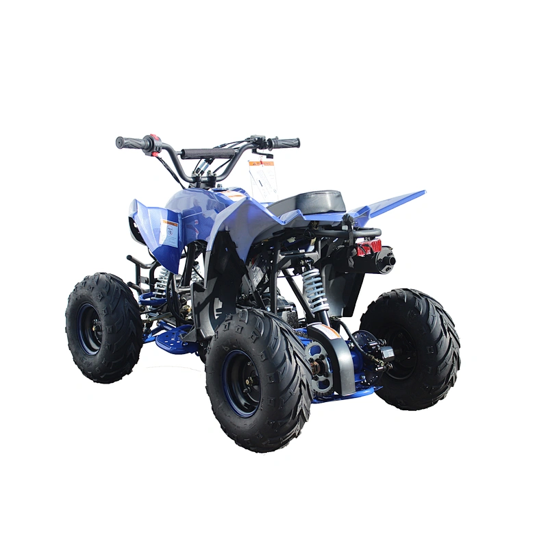Factory directly wholesale good quality cheap price 110cc kids quad for sale and atv for sale
