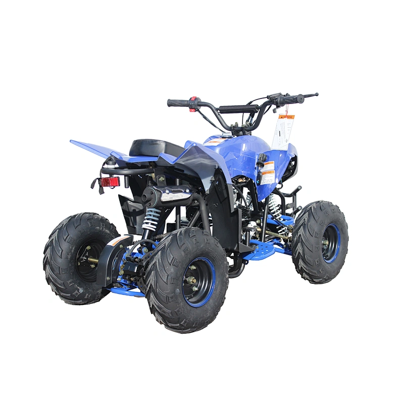 Factory directly wholesale good quality cheap price 110cc kids quad for sale and atv for sale
