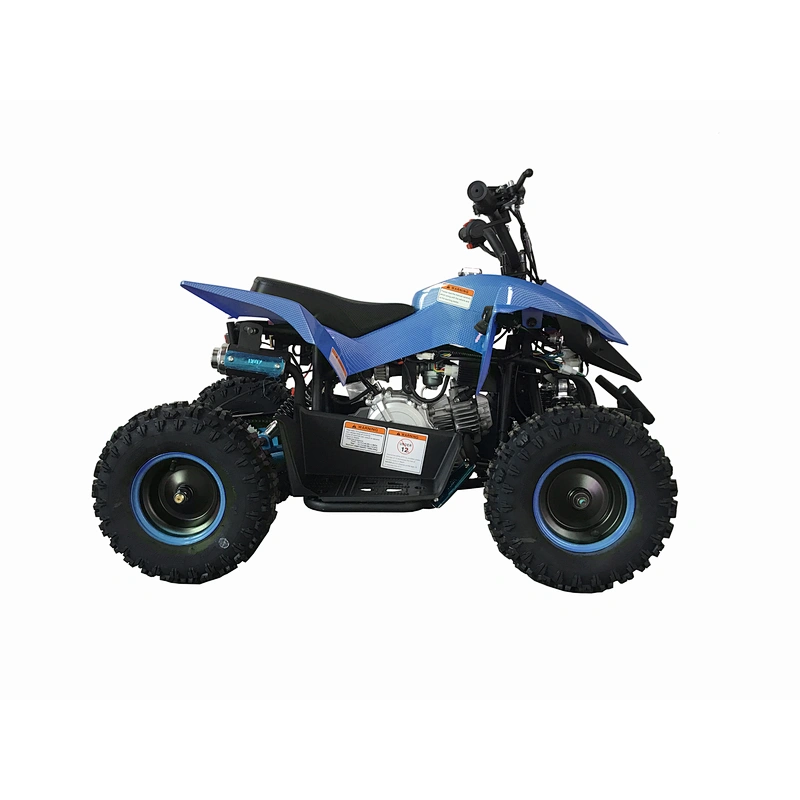 Factory supply attractive price  new style wholesale quad bike electric competitive price 60cc atv