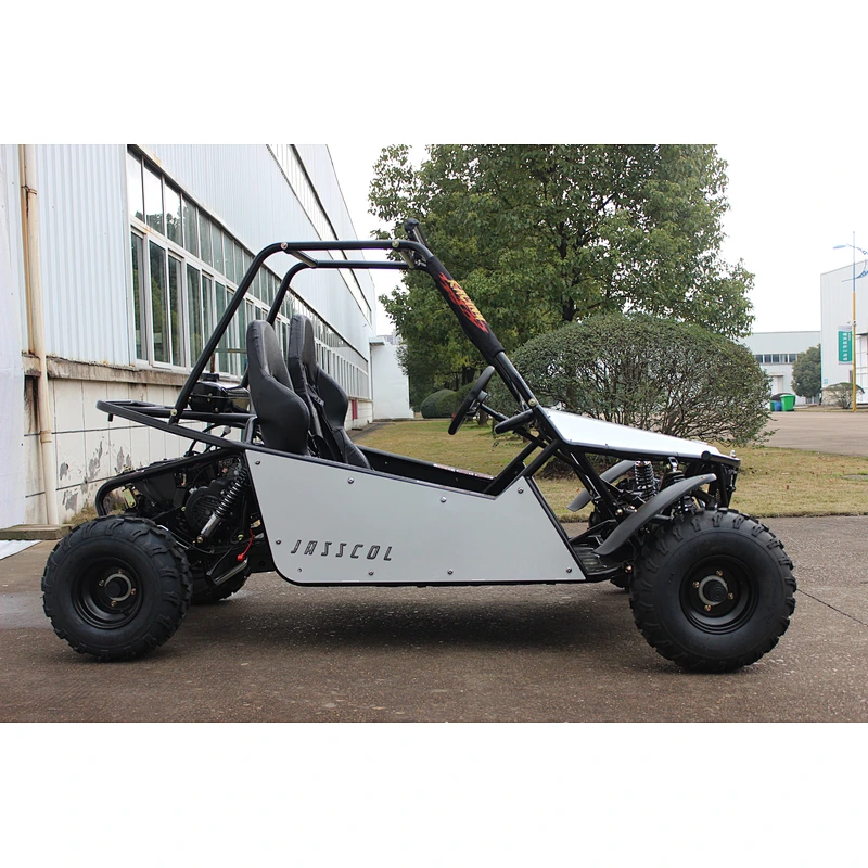 Top Sale Guaranteed Quality hot selling customized centrifugal sandbeach go kart adult 200cc buggy