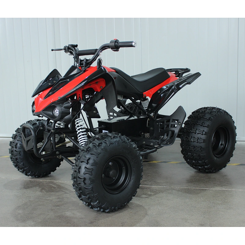Kandi Electric ATV and Quad for kids
