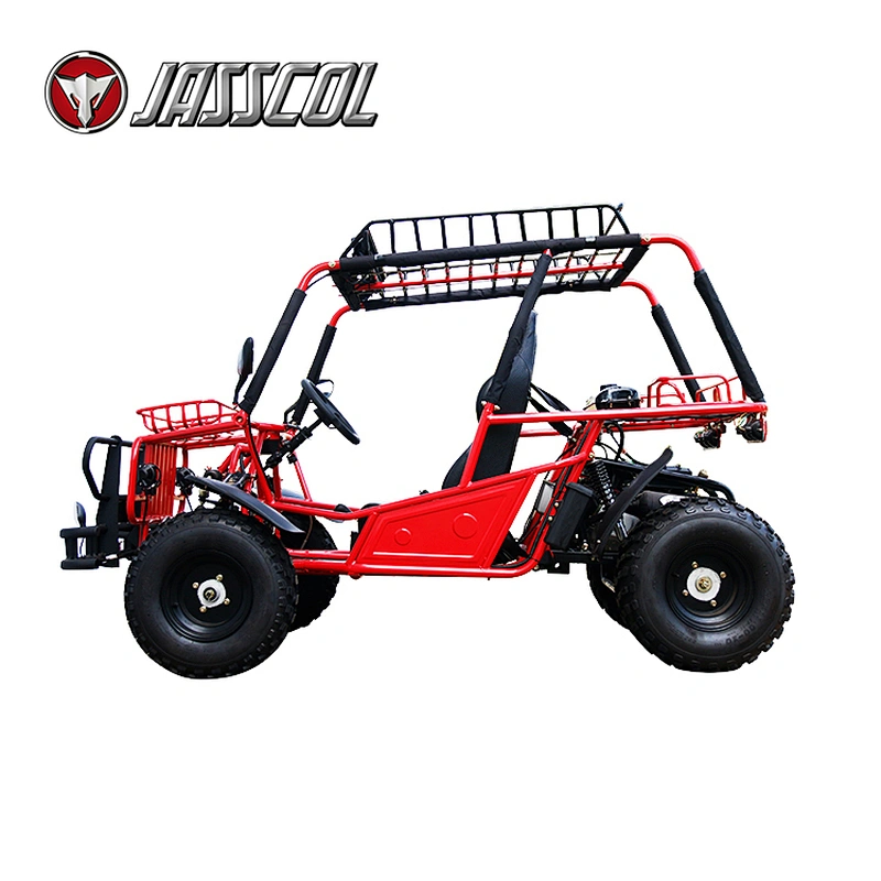 Hot selling cool automatic gasoline 150cc professional 2 seater go kart for adults