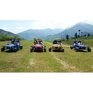 kandi 150cc 200cc  gas go kart sand buggy 4 stroke two seat off road automatic  dune buggy adult