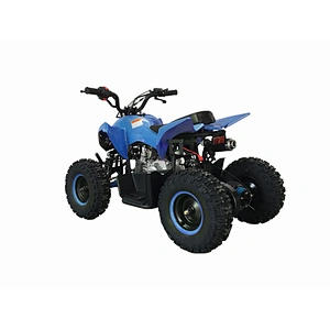 Factory supply attractive price  new style wholesale quad bike electric competitive price 60cc atv