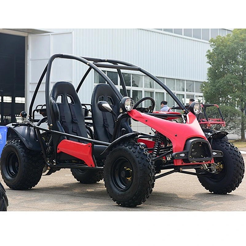 Racing adult Go Kart buggy 200CC cheap gas powered Go Kart