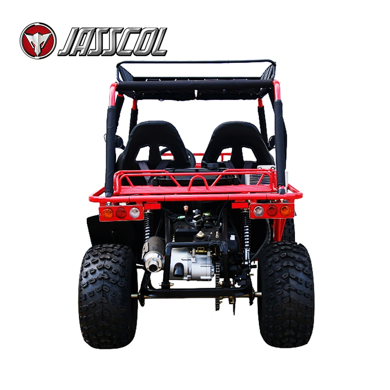 Hot selling cool automatic gasoline 150cc professional 2 seater go kart for adults