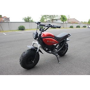 electric mini motorcycle 48V 500W kids motorcycle