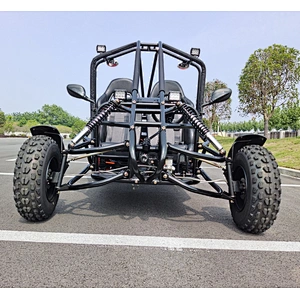 3KW Electric Dune Buggy and Go Kart 4 Wheel Electric power with Lithium Battery