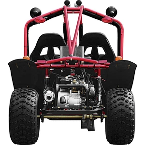 150cc off road go kart two seat 4 stroke buggy