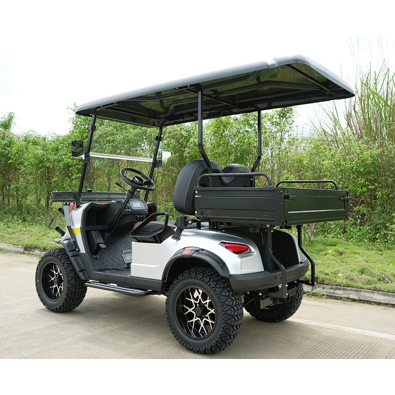EEC and COC Electric Club Car 2 Sets Golf Cart