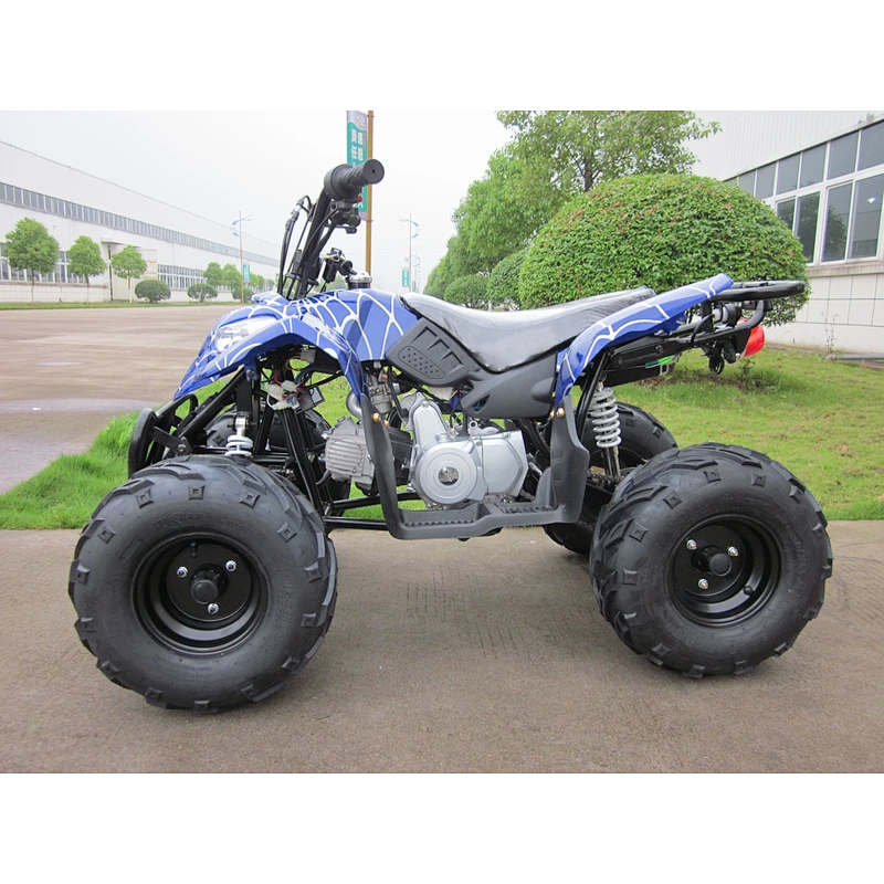 Kids Gift Mini Quad 125cc ATV 4 Wheel Quad Bike