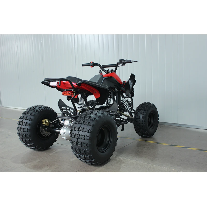 500W Electric ATV and Quad for kids
