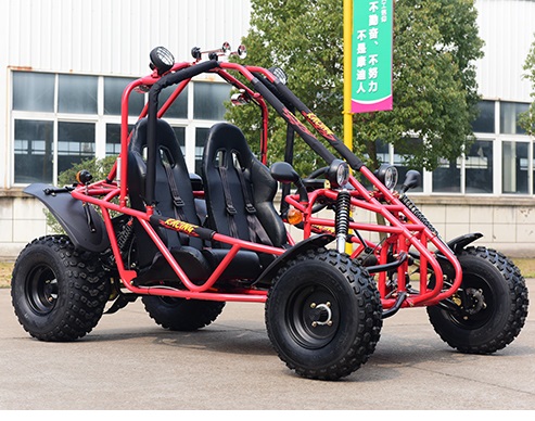High Quality Professional Adult Off Road Petrol Rental Racing Go Karts