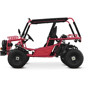 200cc/150cc  UTILITY STYLE ADULT  GO KART BUGGY